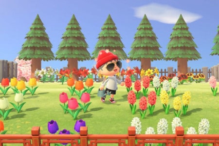 Animal Crossing New Horizons Guide How To Get Hybrid Flowers