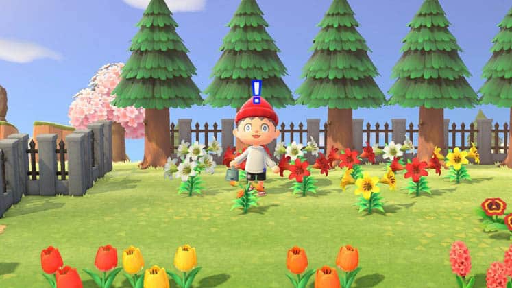 Animal Crossing Other Ways to Get Flowers